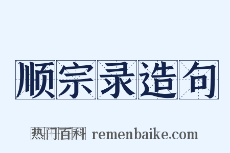 顺宗录造句是什么意思的图片